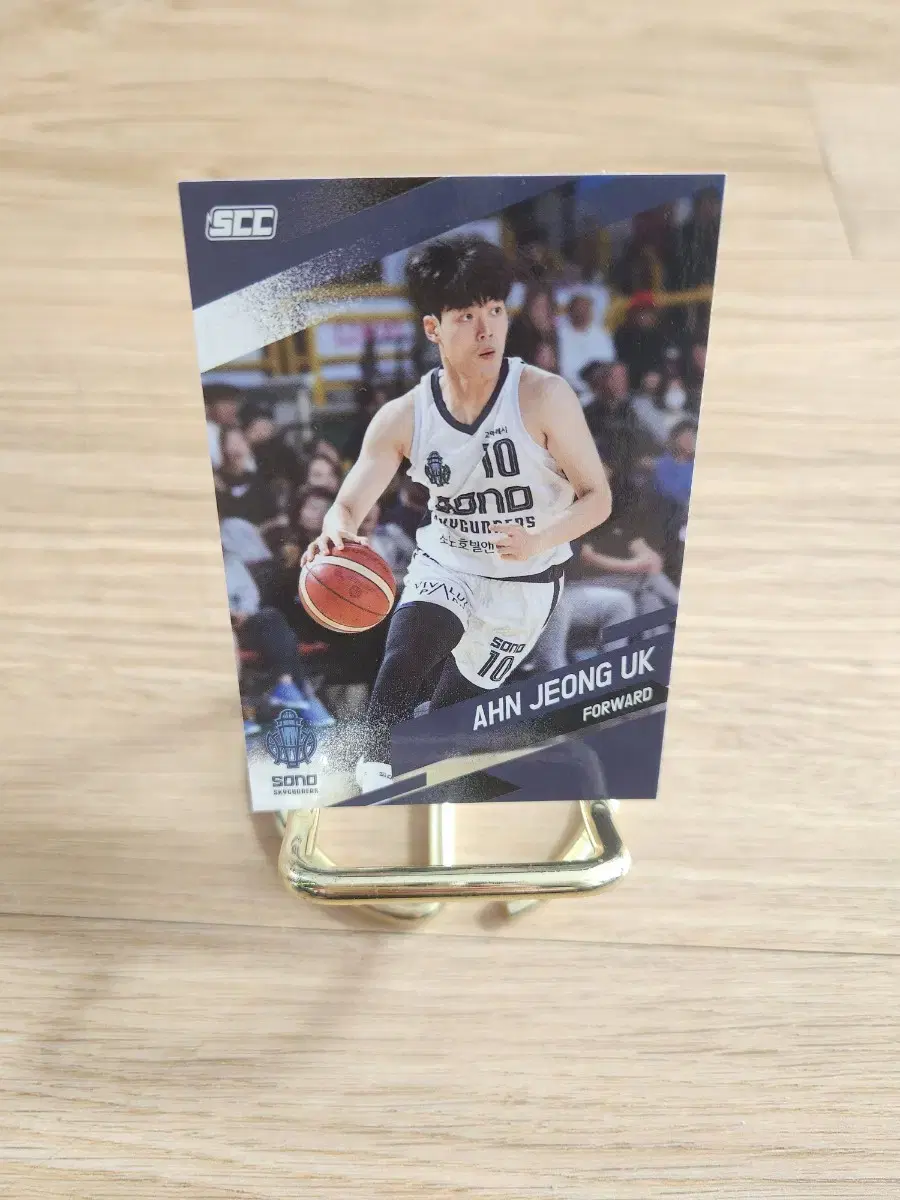 kbl 고양 소노 스카이거너스 안정욱 농구카드